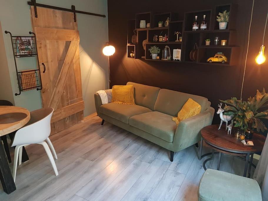 Appartement De Oliekan Medium レンメル エクステリア 写真